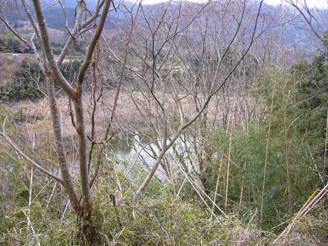 e0015108_22122977.jpg