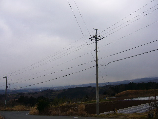 e0015108_2244648.jpg
