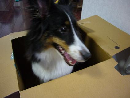 e0130008_22264996.jpg