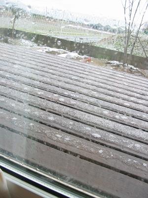 e0132011_21434697.jpg