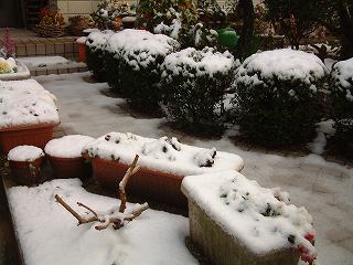 b0008825_10332372.jpg