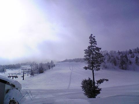 c0150825_19304125.jpg