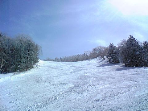 c0150825_19505736.jpg