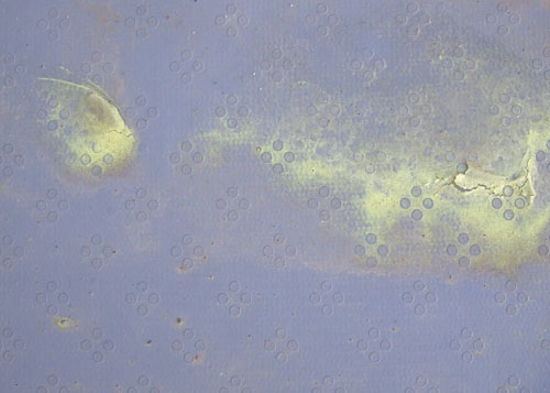 f0147025_17435211.jpg