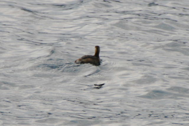 e0064133_23342251.jpg
