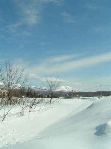 a0094336_11303423.jpg