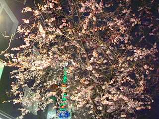 c0153740_4324852.jpg
