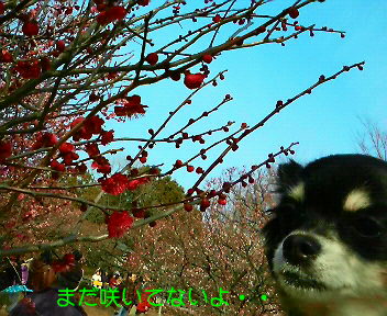 c0121141_225992.jpg
