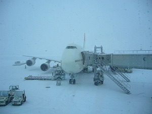 f0065941_2036458.jpg