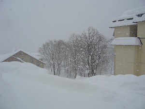 f0065941_20384677.jpg
