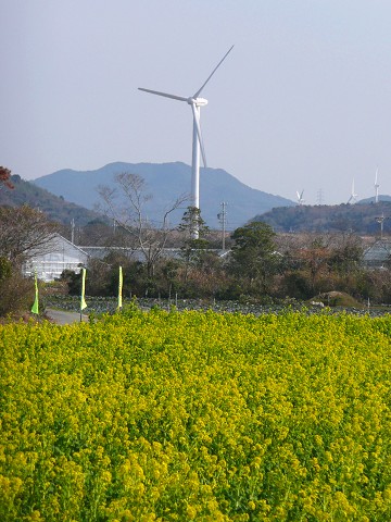 c0057946_2054994.jpg