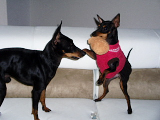 c0123149_13374160.jpg
