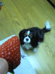 c0145250_10554587.jpg