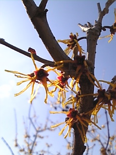 c0069552_10431916.jpg