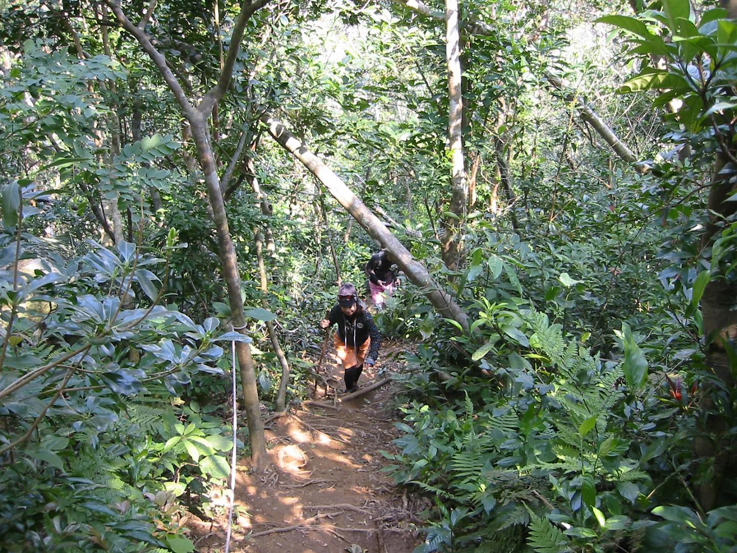 e0134752_11203787.jpg
