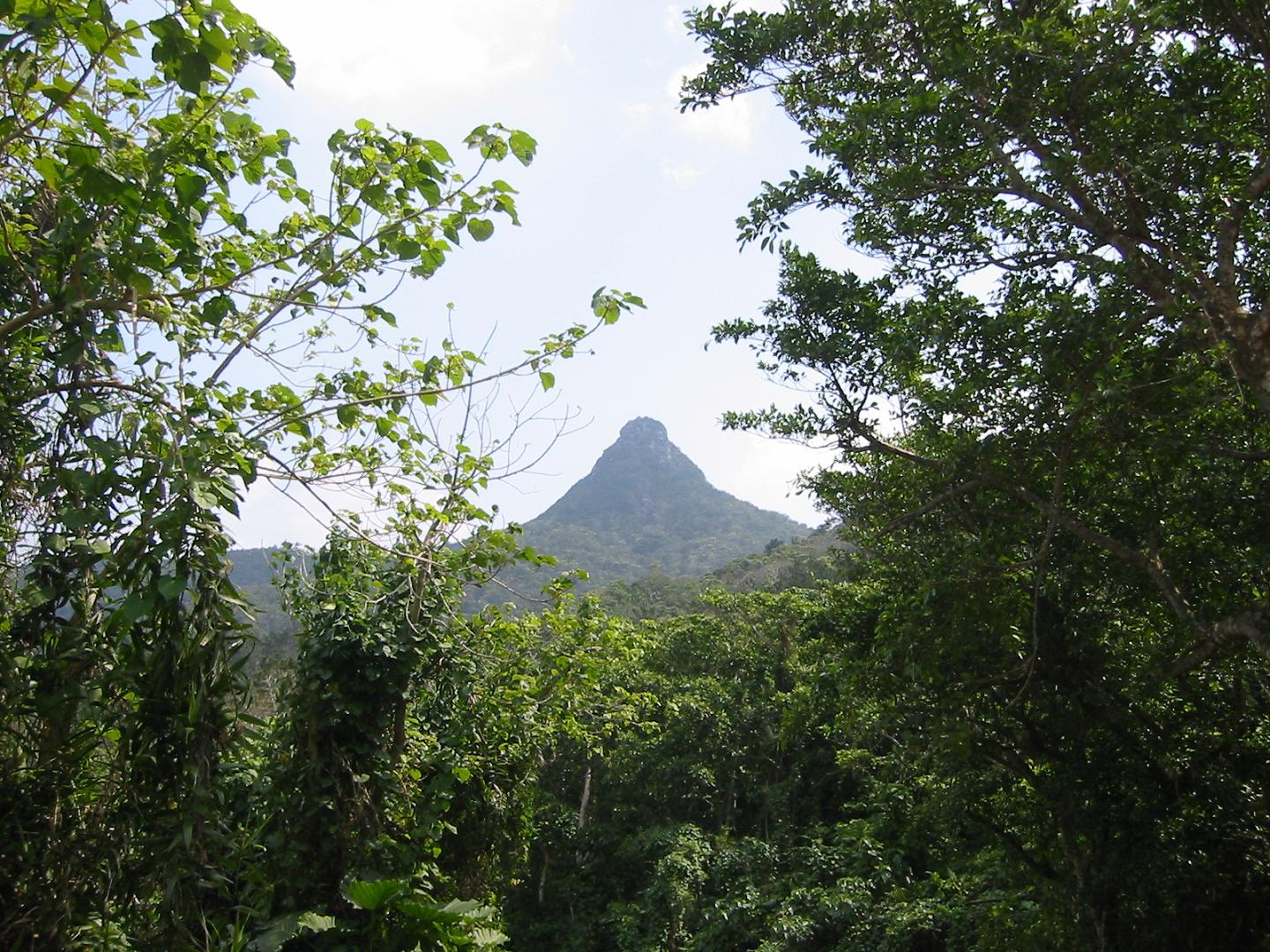 e0134752_1141999.jpg