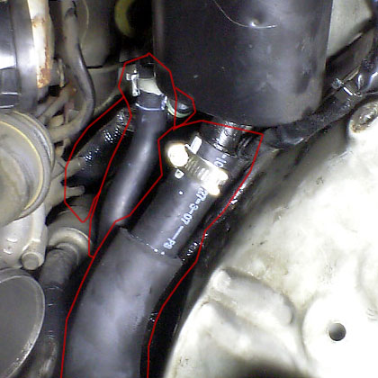 c0039153_1375851.jpg