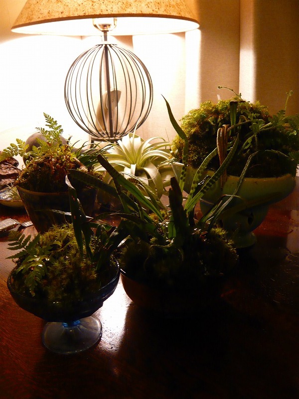 a0017161_020775.jpg