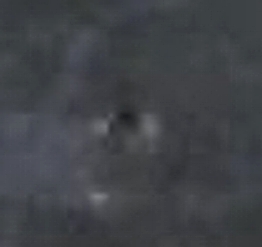 c0004568_51559100.jpg