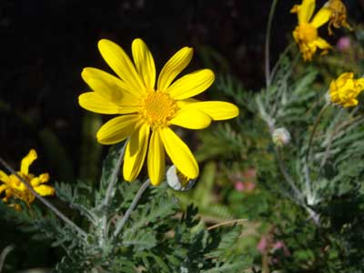 e0097770_17312871.jpg