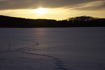 b0076972_18521357.jpg