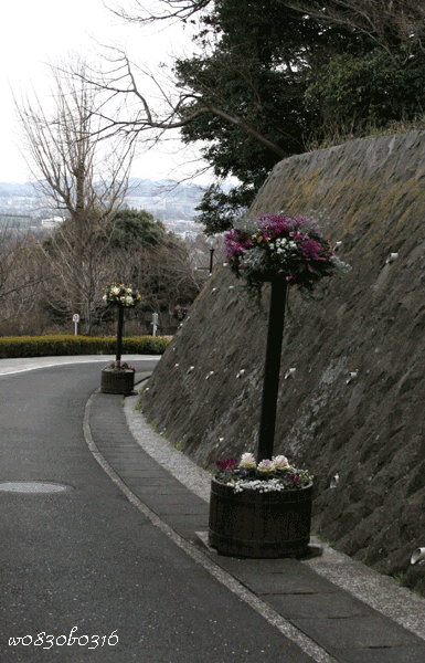 c0149893_5141172.gif