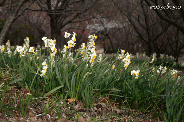 c0149893_515577.gif