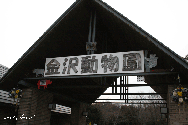 c0149893_555120.gif