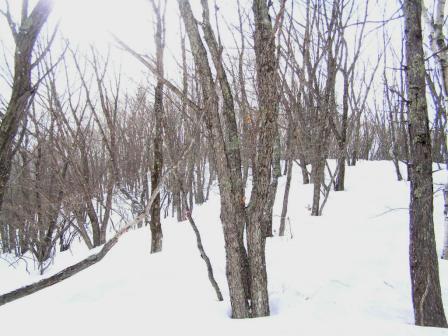 c0034595_5385399.jpg