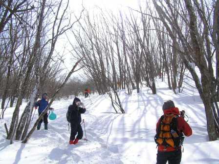 c0034595_5483364.jpg