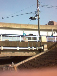 a0031000_1041689.jpg