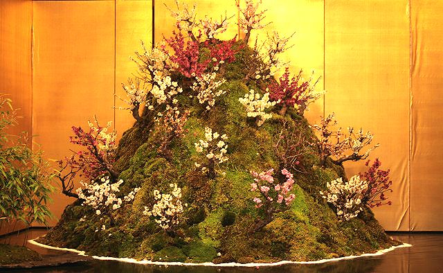 f0083400_18234491.jpg