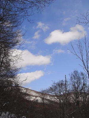 f0157901_125276.jpg