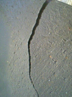 e0042806_11292439.jpg