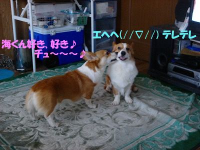c0153410_1029254.jpg