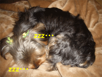 c0143711_16415546.gif
