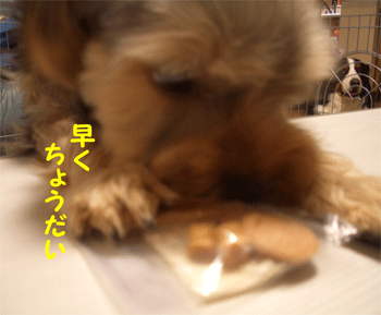 c0143711_1645135.gif
