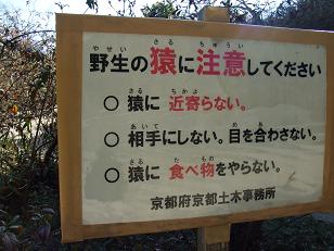 e0130321_17143683.jpg