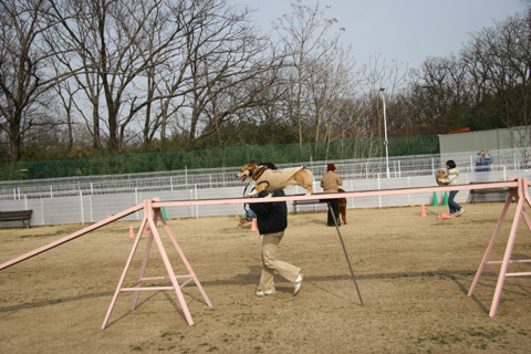 e0071225_310979.jpg