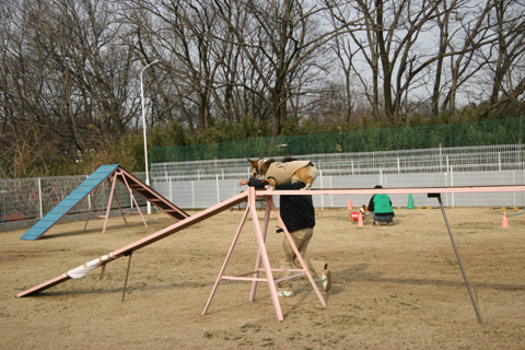 e0071225_3113782.jpg