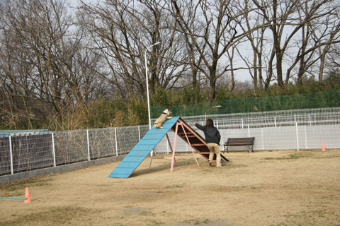 e0071225_3121498.jpg