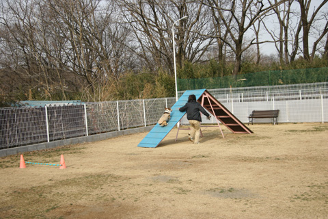 e0071225_312332.jpg