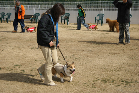 e0071225_371267.jpg