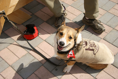 e0071225_382699.jpg