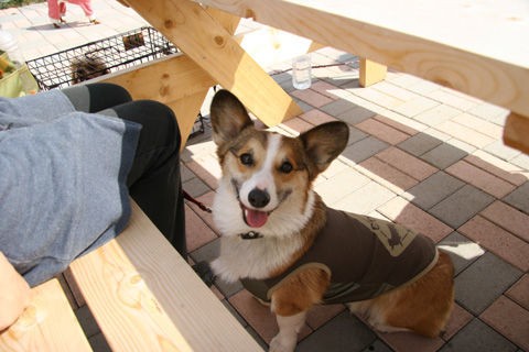 e0071225_383949.jpg