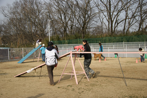 e0071225_394371.jpg