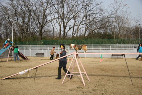e0071225_395546.jpg