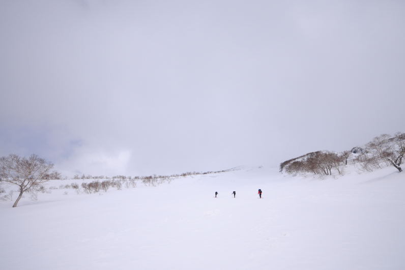 f0130125_1612527.jpg