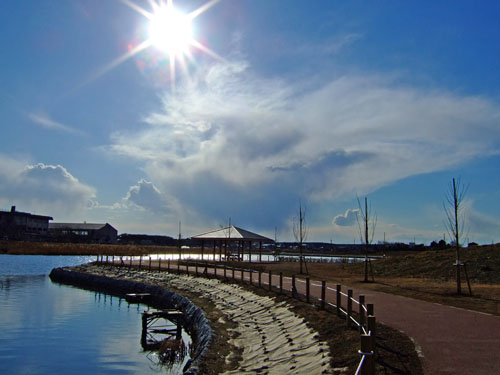 f0147025_8463750.jpg