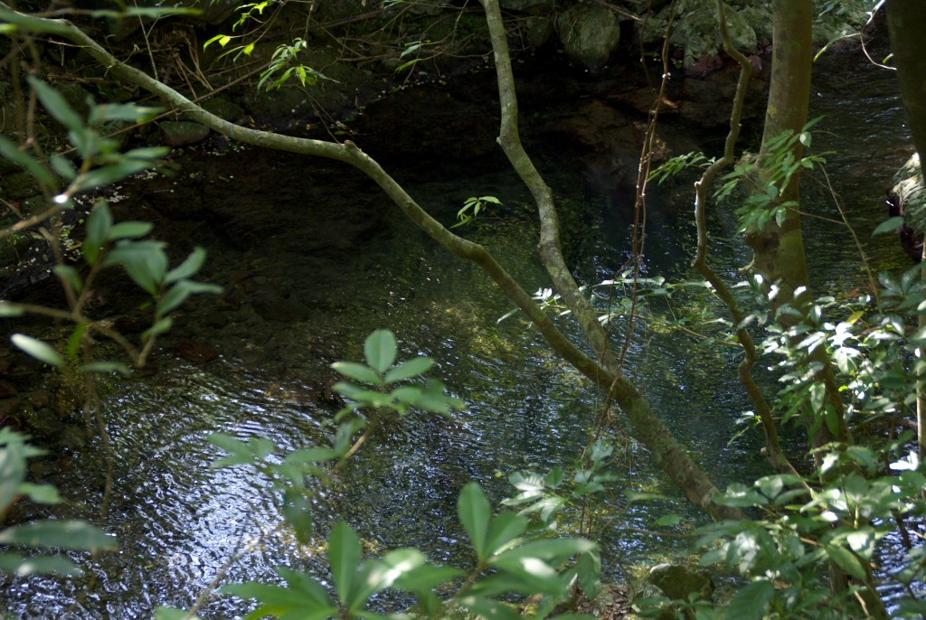 d0053930_7241874.jpg